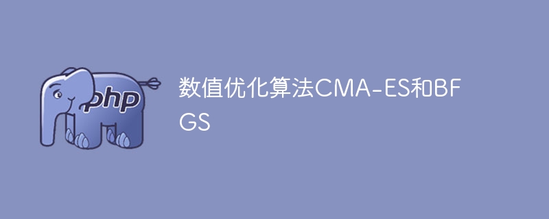 数值优化算法CMA-ES和BFGS