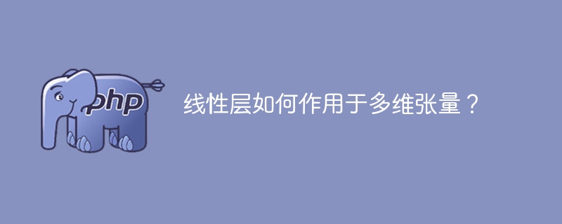 多维张量如何受到线性层的影响？