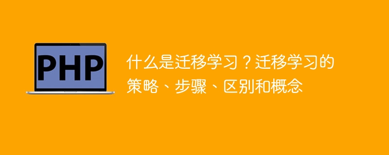 迁移学习: 概念、策略、步骤和区别综述