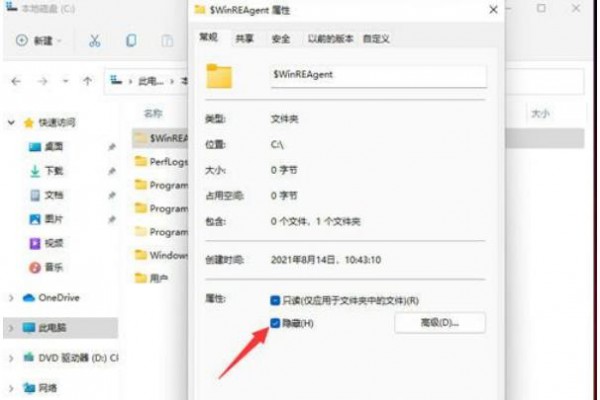 Win11隐藏文件怎么显示出来?win11隐藏文件显示设置教程