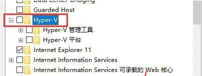 Win11不兼容雷电模拟器解决方法?Win11无法打开雷电模拟器解决方法