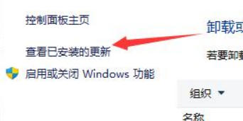 win11电脑屏幕黑屏但鼠标能动是怎么回事?详情