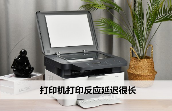 Win11打印机打印反应延迟很长怎么回事?详情