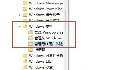 戴尔win11怎么关闭自动更新?戴尔win11关闭自动更新的方法