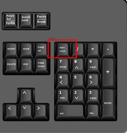 win11无线网络密码无法输入怎么解决?详情