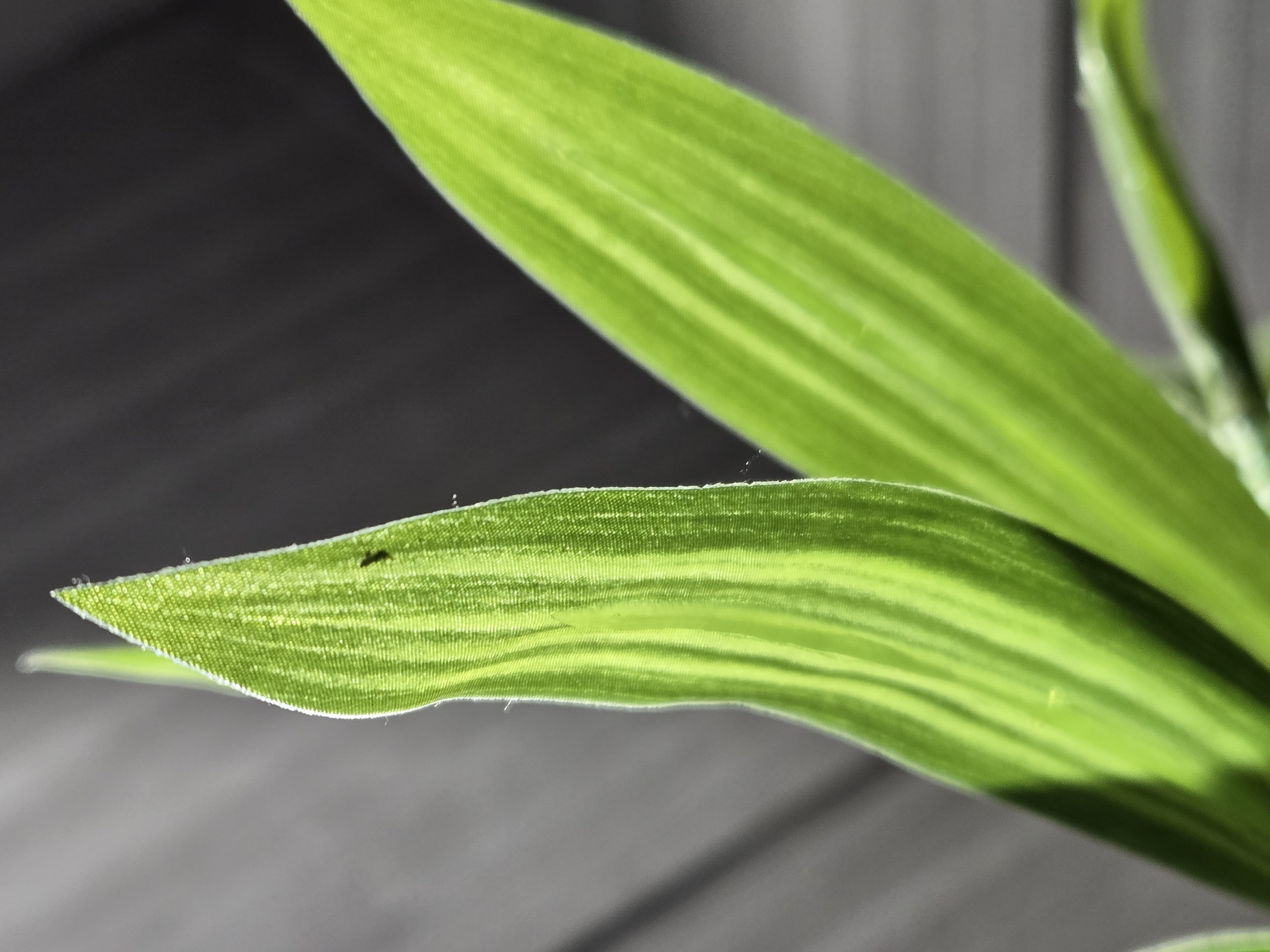 三星 Galaxy S24+ 深度评测：瑕不掩瑜的AI手机