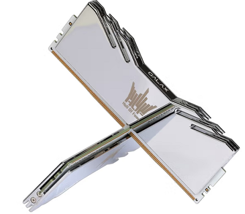 哪几个系列的名人入选了名人堂？