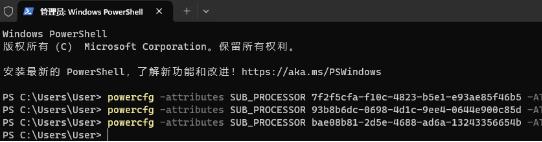 Win11如何设置搭配12/13代处理器P大核优先?