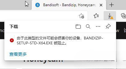 如何处理由于潜在危害，Windows 10阻止此文件类型的问题？