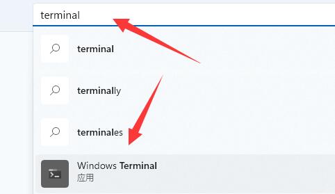 Win11提示找不到wt.exe文件怎么办?Win11提示没有wt.exe文件解决方法