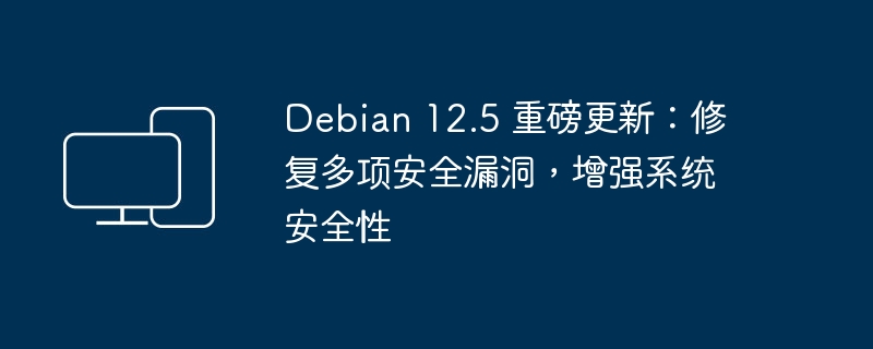 Debian 12.5 重磅更新:修复多项安全漏洞,增强系统安全性