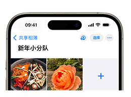 使用 iPhone 共享相册功能，轻松分享精彩春节照片