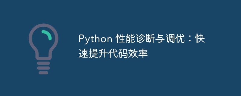 Python 性能诊断与调优:快速提升代码效率