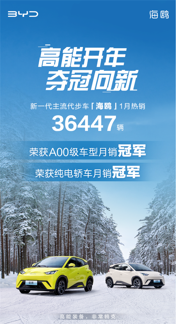 比亚迪海鸥1月销量夺冠,成A00级车型与纯电轿车双料冠军