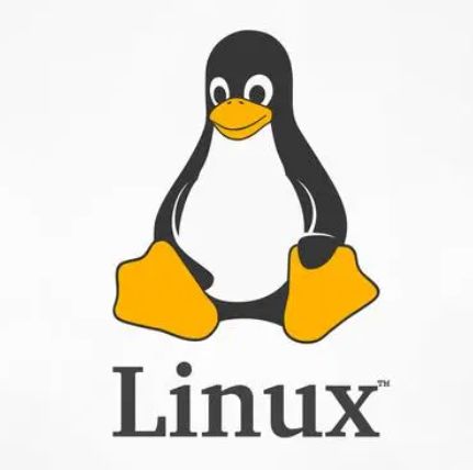 实战:Linux上硬盘io读写测试