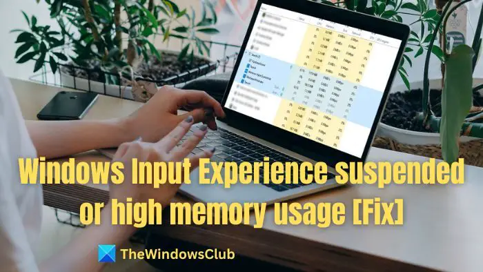 Windows输入遇到挂起或内存使用率高的问题[修复]