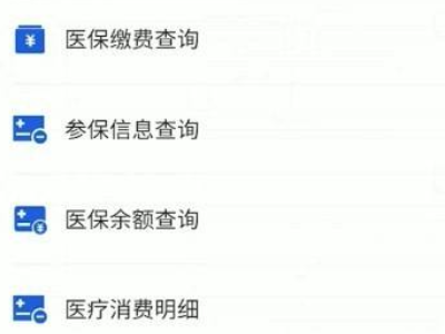 个人医保卡余额查询方法