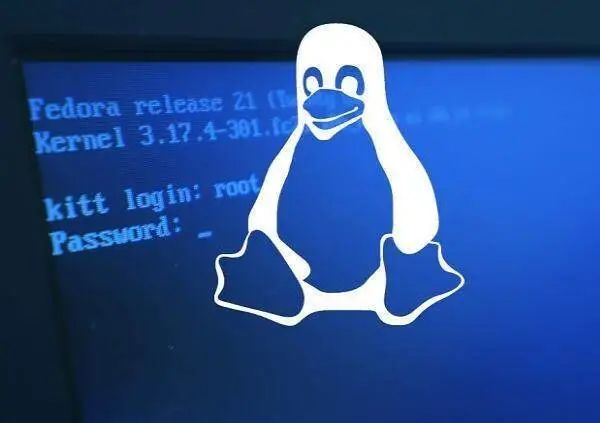 实战:运维必备Linux巡检脚本
