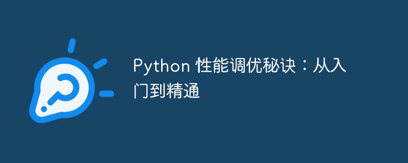 Python 性能调优秘诀:从入门到精通