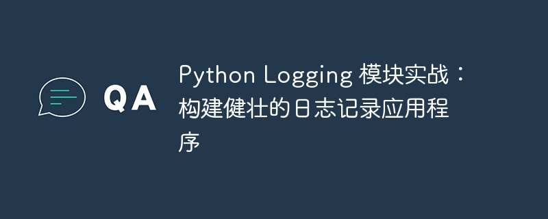 Python Logging 模块实战:构建健壮的日志记录应用程序