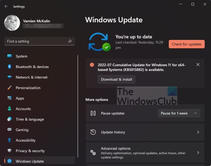 安装Realtek HD音频驱动程序失败,错误0101