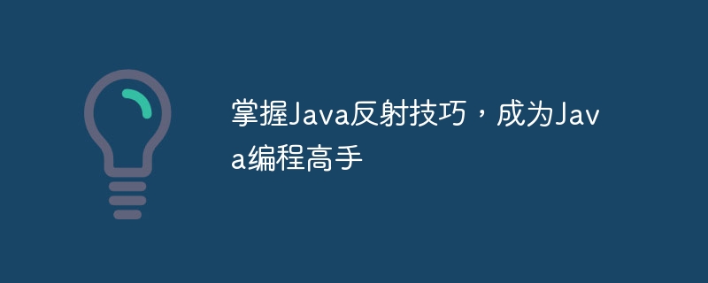 掌握Java反射技巧,成为Java编程高手