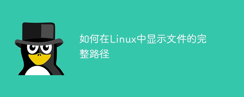 Linux系统下如何获取文件的完整路径