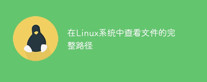 查阅Linux系统中文件的位置