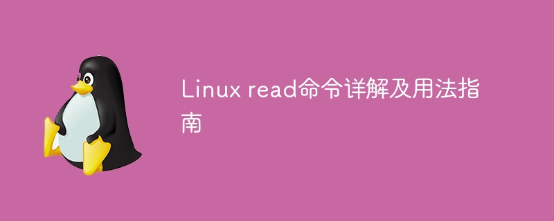 Linux read命令详解及用法
