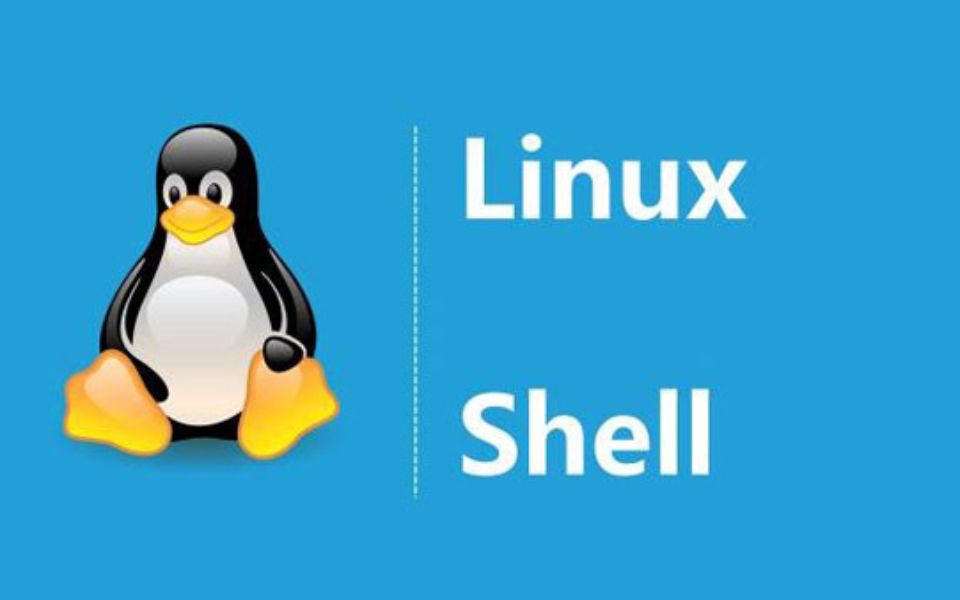 常见的Linux Shell脚本使用示例