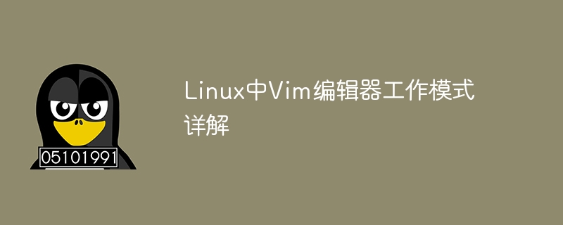 深入了解Linux系统中Vim编辑器的运行机制