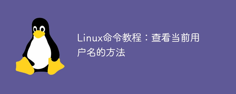 学习Linux命令：查看当前登录用户名