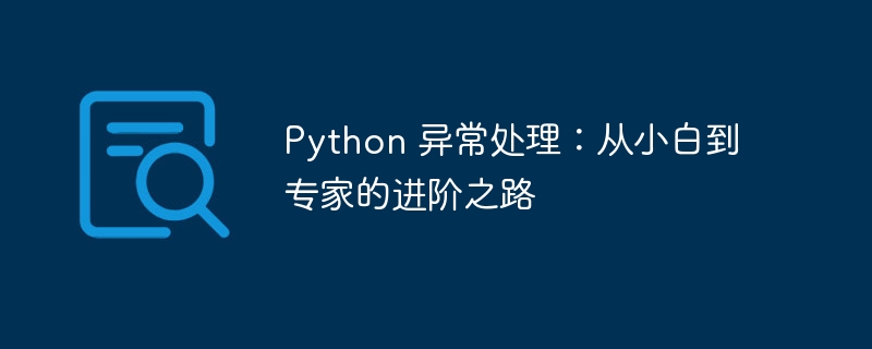 Python 异常处理:从小白到专家的进阶之路