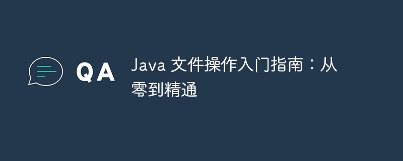 Java 文件操作入门指南:从零到精通