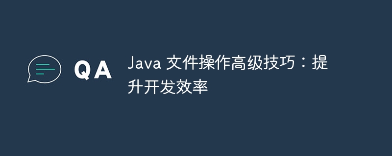 Java 文件操作高级技巧:提升开发效率