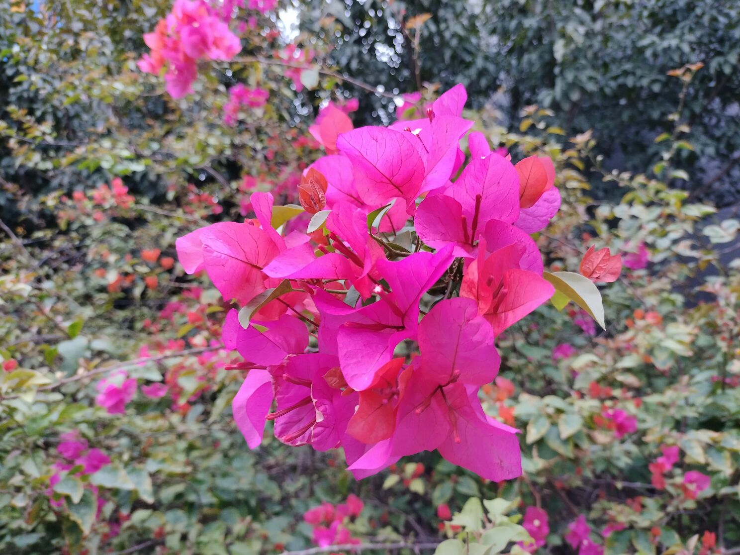 啧啧,这台小屏手机,我赌你们都没见过