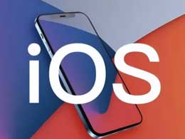 iOS的开发者版本和公开版本有何不同？