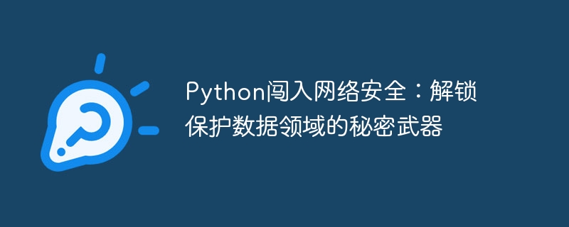 Python闯入网络安全:解锁保护数据领域的秘密武器