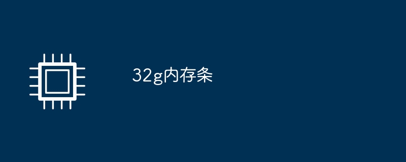 32g内存条