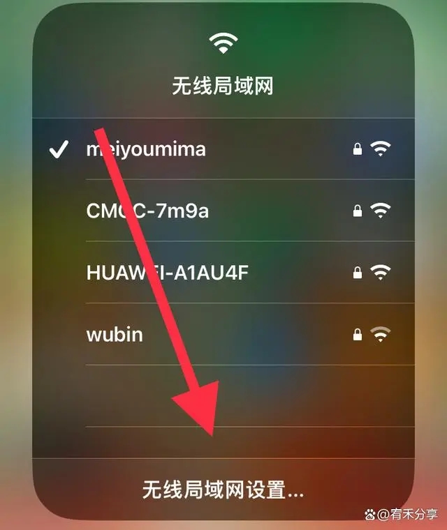 苹果手机wifi密码怎么查看