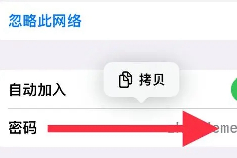 苹果手机wifi密码怎么查看