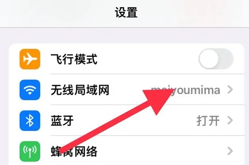 苹果手机wifi密码怎么查看