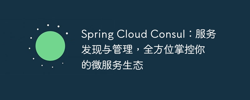 Spring Cloud Consul:服务发现与管理,全方位掌控你的微服务生态
