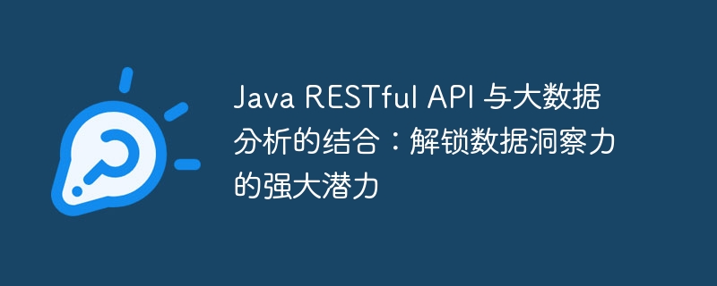 Java RESTful API 与大数据分析的结合:解锁数据洞察力的强大潜力