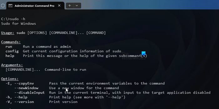 如何在Windows 11/10中运行SUDO命令