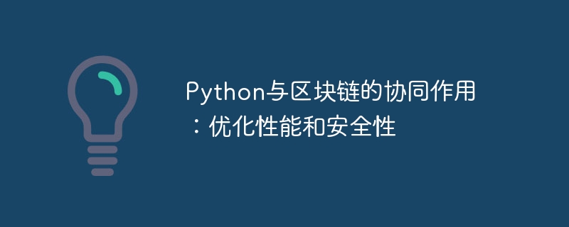 Python与区块链的协同作用:优化性能和安全性