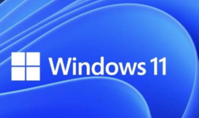 Win11系统蓝屏重装问题分析