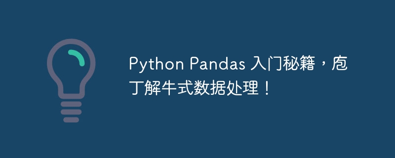 Python Pandas 入门秘籍,庖丁解牛式数据处理!