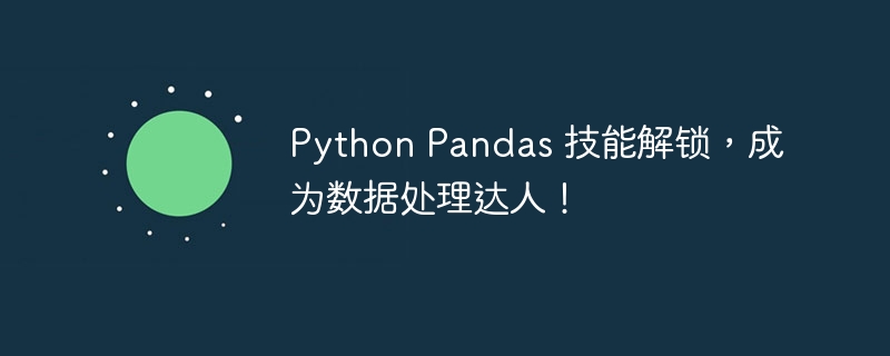Python Pandas 技能解锁,成为数据处理达人!