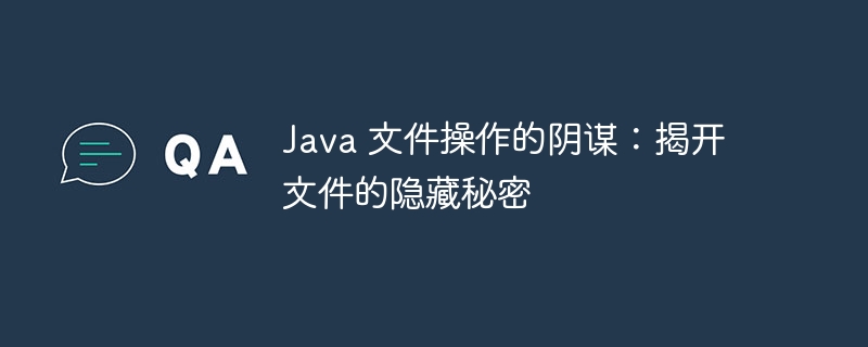 Java 文件操作的阴谋:揭开文件的隐藏秘密